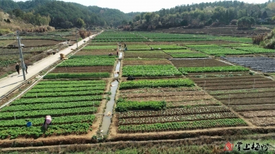 深耕农村农业 带动家乡共富！平远县首批产业村长为乡村振兴注入新活力