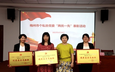 梅州市个私协会表彰“两优一先”
