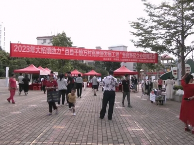 平远县大柘镇举办助力“百县千镇万村高质量发展工程”暨高新区企业招聘活动