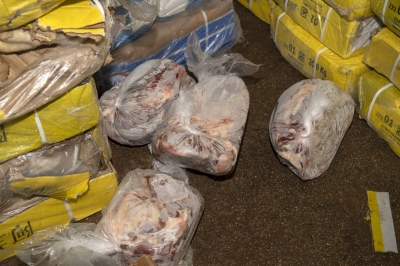 我市打私部门销毁涉案走私冻品12.6吨