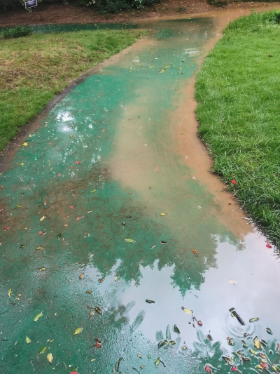 一下雨，公园人行道就变“泥水路”！市民行走不便盼解决