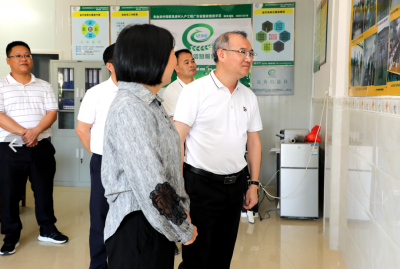 丘炀到长布镇、周江镇调研：整合资源打响品牌 推动五华高质量发展取得新成效