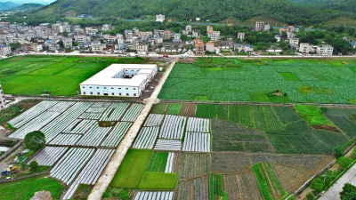 平远县：136册村情档案 挖掘产业发展潜能