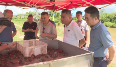 番禺区对口支援办到蕉岭开展产业帮扶协作