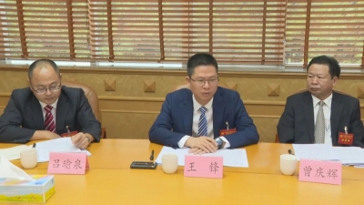 王锋参加区委二届四次全会分组讨论 紧抓实体经济乡村振兴两大重点 全力推动梅县老区苏区高质量发展
