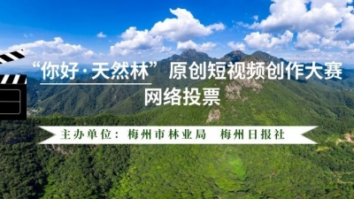 投票啦！一起感受梅州森林的绝美时刻，快来pick你喜欢的短视频吧→