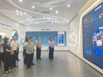 发挥代表作用 推动梅州高质量发展！梅州市全国、省人大代表集中专题调研侧记