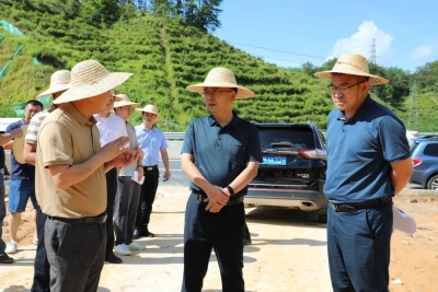 凌晓文开展巡林和调研绿美大埔生态建设工作