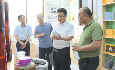 刘鸿涛到蓝坊镇调研“四上”企业培育发展工作