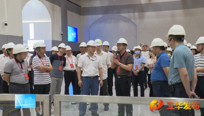 五华县人大常委会组织在五华全国、省、市人大代表开展“更好发挥人大代表作用”主题视察活动