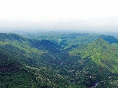 以天然林生态优势筑牢梅州绿色屏障！梅州日报森林直播间带你领略高质量森林城市风采