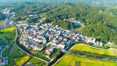 平远八尺镇：全力推动“百千万工程” 谱写城乡区域协调发展新篇章