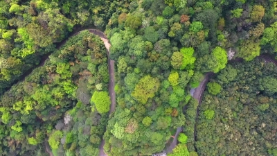 “你好·天然林”原创短视频创作大赛优秀作品展示——《阴那山生态林》