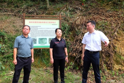 梅州市人大常委会检查我市实施《森林法》《广东省森林保护管理条例》情况