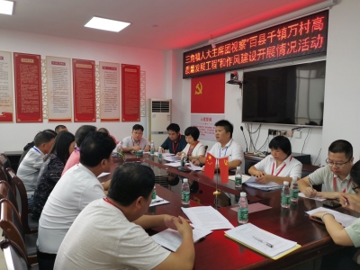 梅江区三角镇人大主席团开展“百县千镇万村高质量发展工程”视察活动