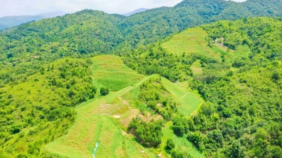梅州山水林田湖草沙生态保护修复工程进展如何？戳进来看
