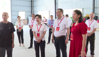 大埔县人大常委会组织开展“更好发挥人大代表作用”主题活动