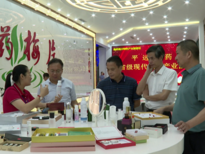 赵东到平远县开展全域旅游和“四上”企业培育工作专项调研