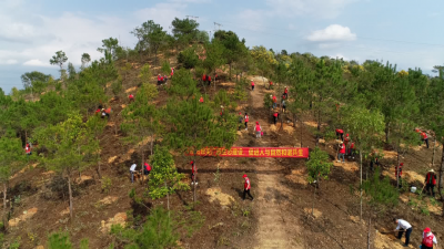 五华：守护绿水青山 共建绿美五华