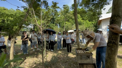 聚焦三大关键领域！蕉岭县这样擦亮“青”字特色品牌