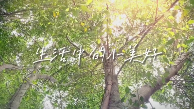 生活中的小美好