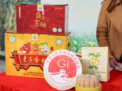 “土特产”变身经济发展“金名片”！梅州持续加强地理标志运用，赋能特色产业高质量发展