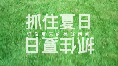 抓住夏日