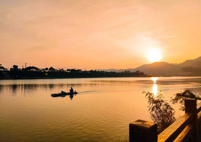 寿乡蕉岭·桂花
