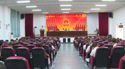 大埔县各镇召开2023年度年中人大例会