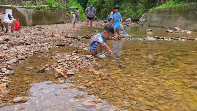 清凉度夏之戏水篇