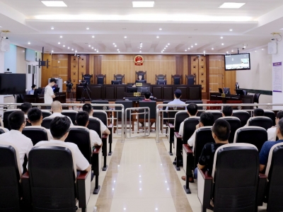 维护执法权威！大埔法院公开审理一起袭警案件