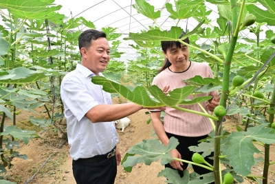 找准“造血”产业带富乡邻！记平远县人大代表李展辉