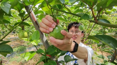 梅州V视 | 首届梅西百香果节暨农特产品推介活动今日举行