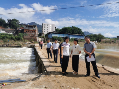 罗丽思深入郭田镇、河东镇检查指导灾后水毁桥梁重建工作