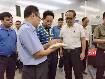 马志元率队开展市政协重点提案督办调研：加快推进冷链物流基础设施建设