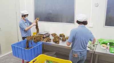 签约项目67个 计划总投资153.95亿元！梅县区今年前7月招商引资成果显著