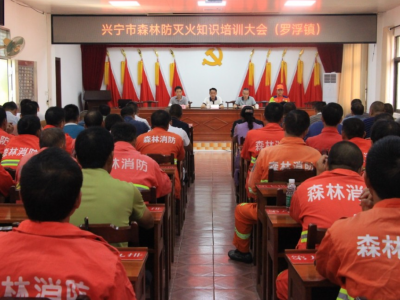 理论+实践！兴宁市开展森林防灭火知识培训会