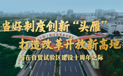 当好制度创新“头雁” 打造改革开放新高地——写在自贸试验区建设十周年之际