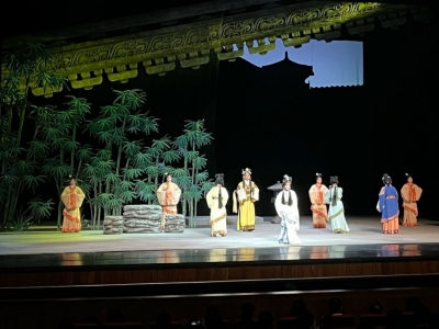 昭君出塞奏新篇，南国牡丹西安绽放