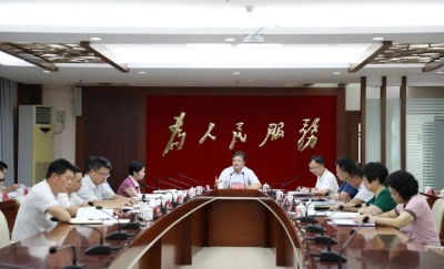 大埔县委常委会召开会议 认真学习贯彻习近平总书记重要讲话精神