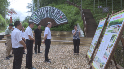 民盟省委会调研组到蕉岭调研乡村振兴工作