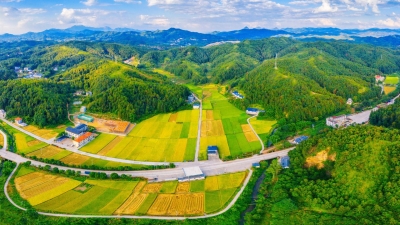 秋天的脚步近了！全国入秋进程图出炉