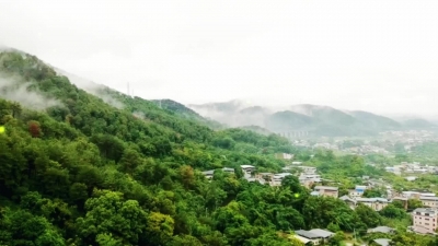 红尘岁月  有你安然