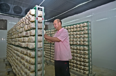 出村进城 一路保“鲜”！平远推动冷链物流建设为特色优势农产品保驾护航