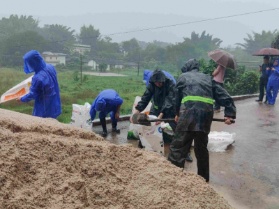 战风雨，显担当！兴宁市永和镇党员干部“逆风而行”奋战防台风一线