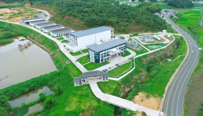 平远县仁居镇：内外兼修产业升级 绘就高质量发展新画卷