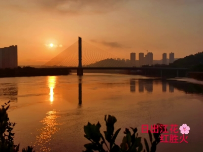 日出江花红胜火