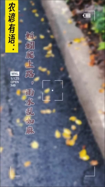 农谚有语：蚯蚓爬上路，雨水乱如麻