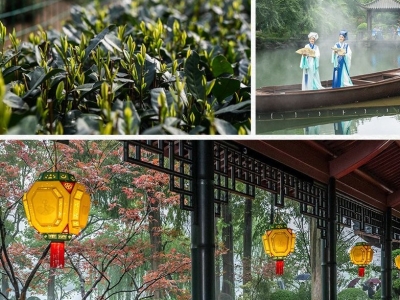 新闻多一点｜在杭州，国际贵宾欣赏了哪些非遗项目？