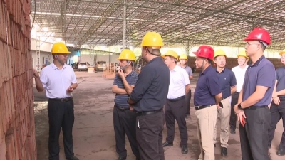 周小勇到中行镇调研